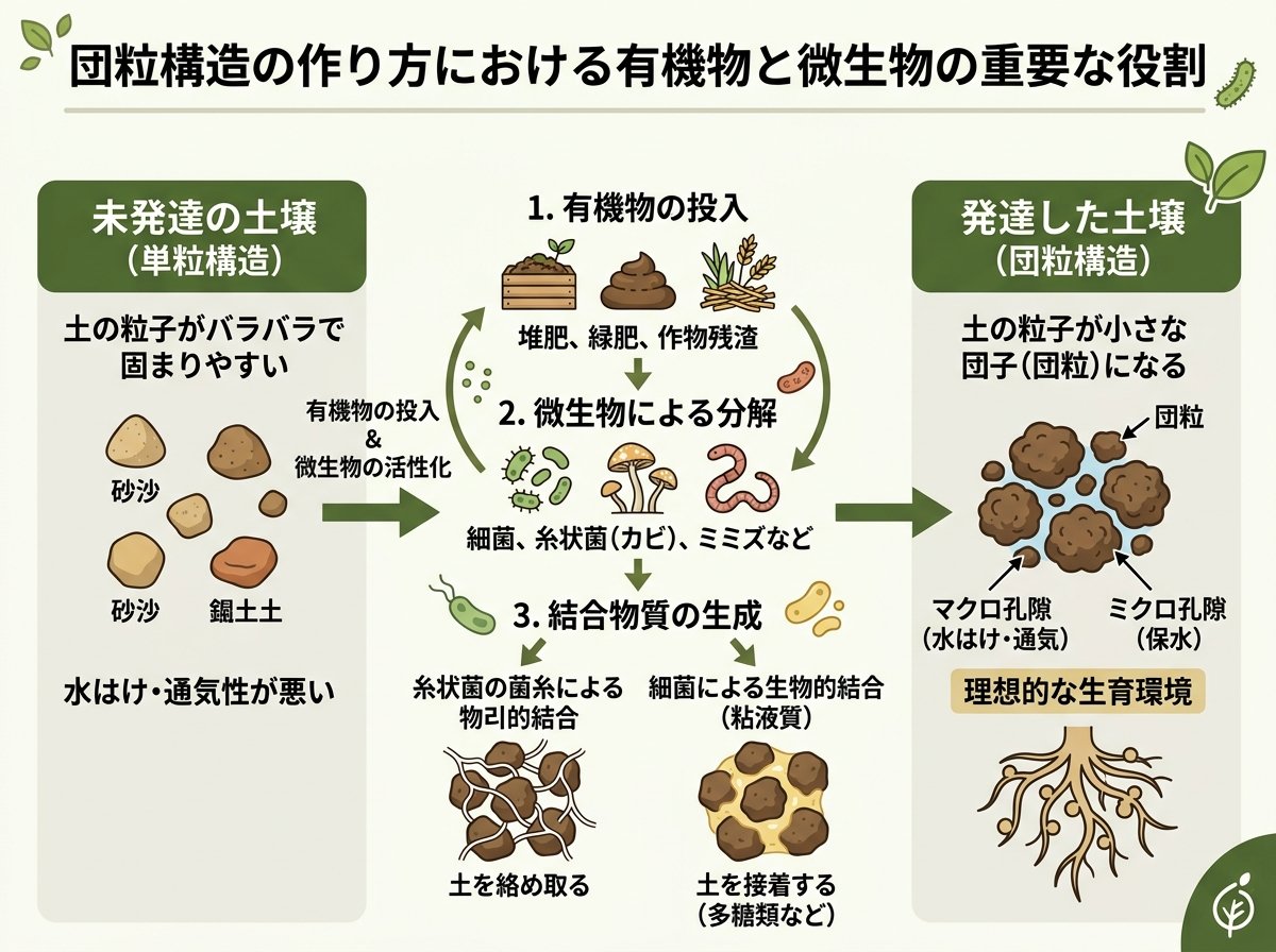 団粒構造の作り方における有機物と微生物の重要な役割