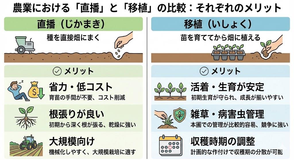 直播と移植の比較とメリット