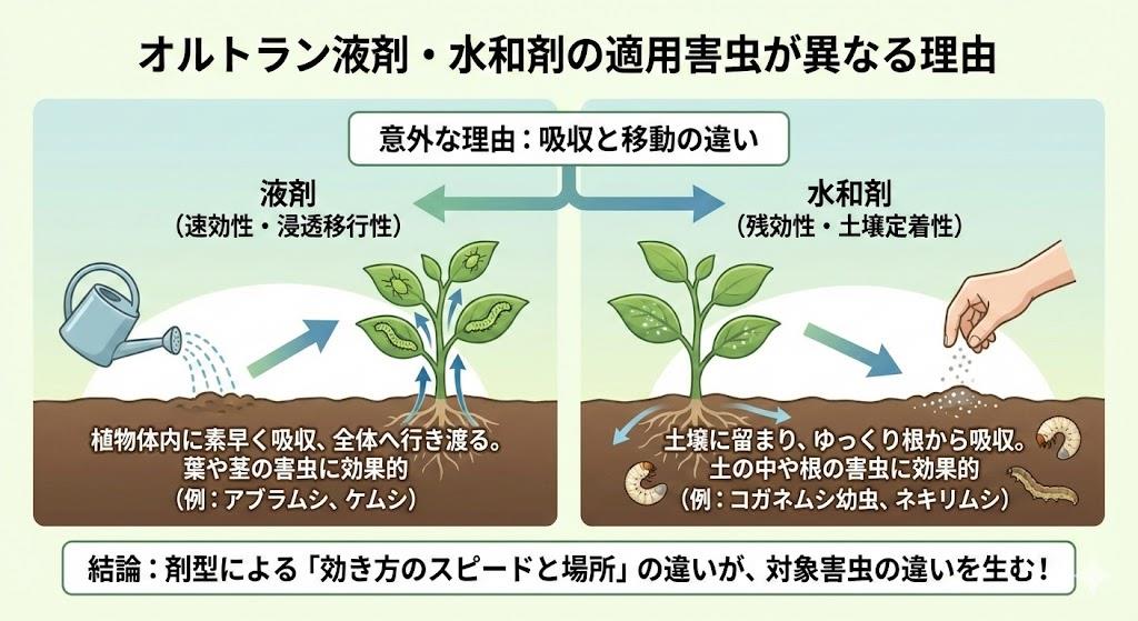 オルトランの液剤と水和剤で適用害虫が異なる意外な理由