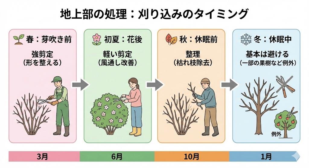 地上部の処理：刈り込みのタイミング