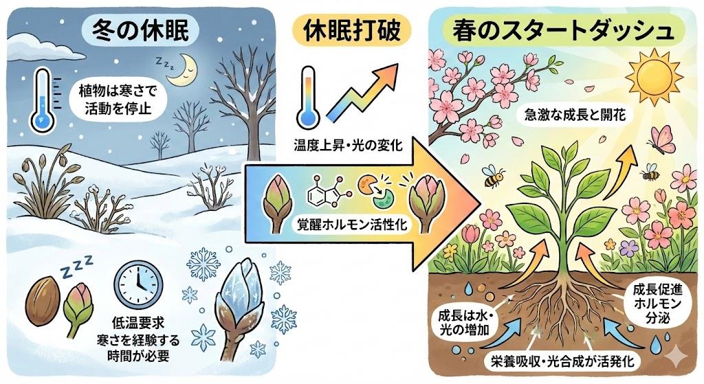 休眠打破と春のスタートダッシュ