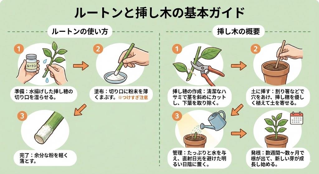 ルートンの使い方と挿し木