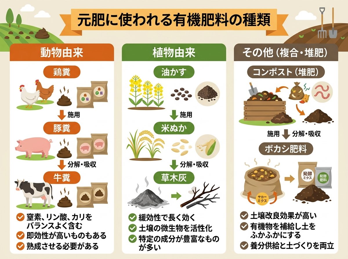元肥に使われる有機肥料の種類